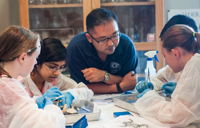 Instructor Steve Pak oversees dissection, guiding and quizzing students as they go along.